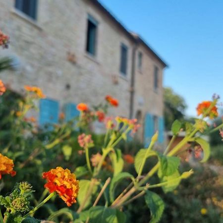 La Sorgente Country House Massignano Esterno foto