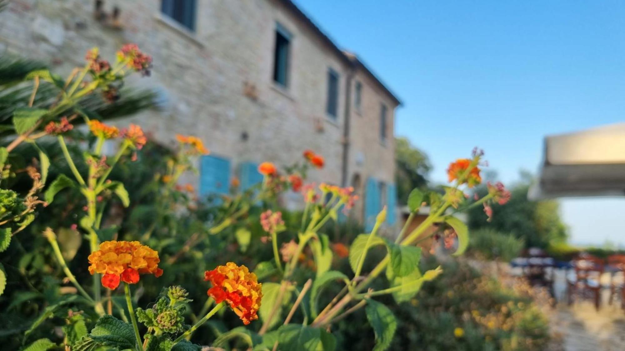 La Sorgente Country House Massignano Esterno foto